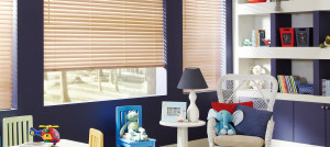 horizontal-blinds-parkland-classics-slide-4