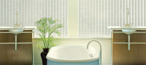 vertical-blinds-cadence-slide-3